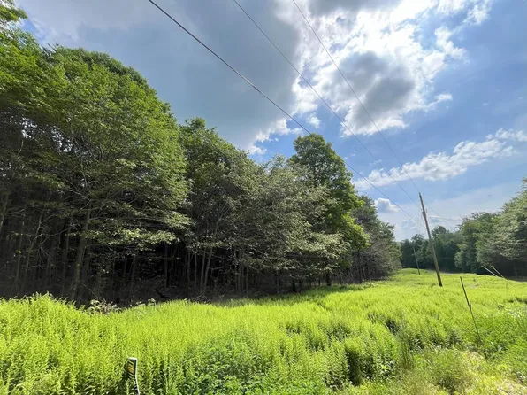 LOT 16 Fox Gate Rd, Shunk, PA 17768