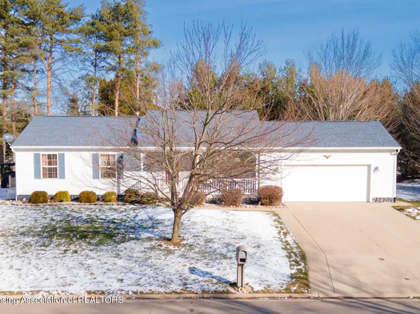 951 Deerwood Ln, Laingsburg, MI 48848