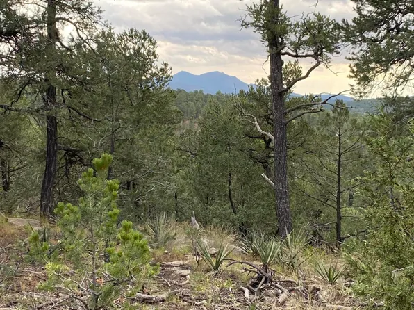 Carolino Canyon Rd, Tijeras, NM 87059