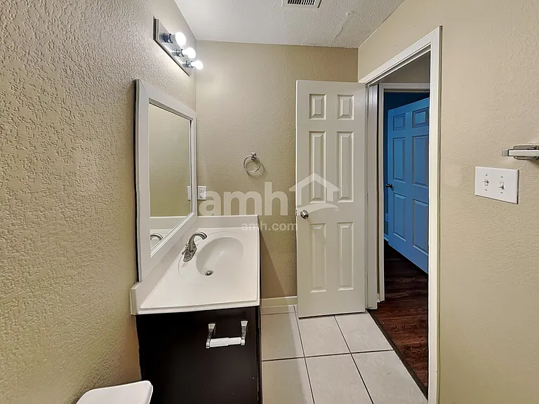 21715 Britton Hill Way — Photo 21