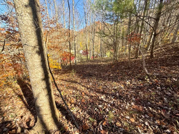 11/AC Highway 37, Hampton, TN 37658