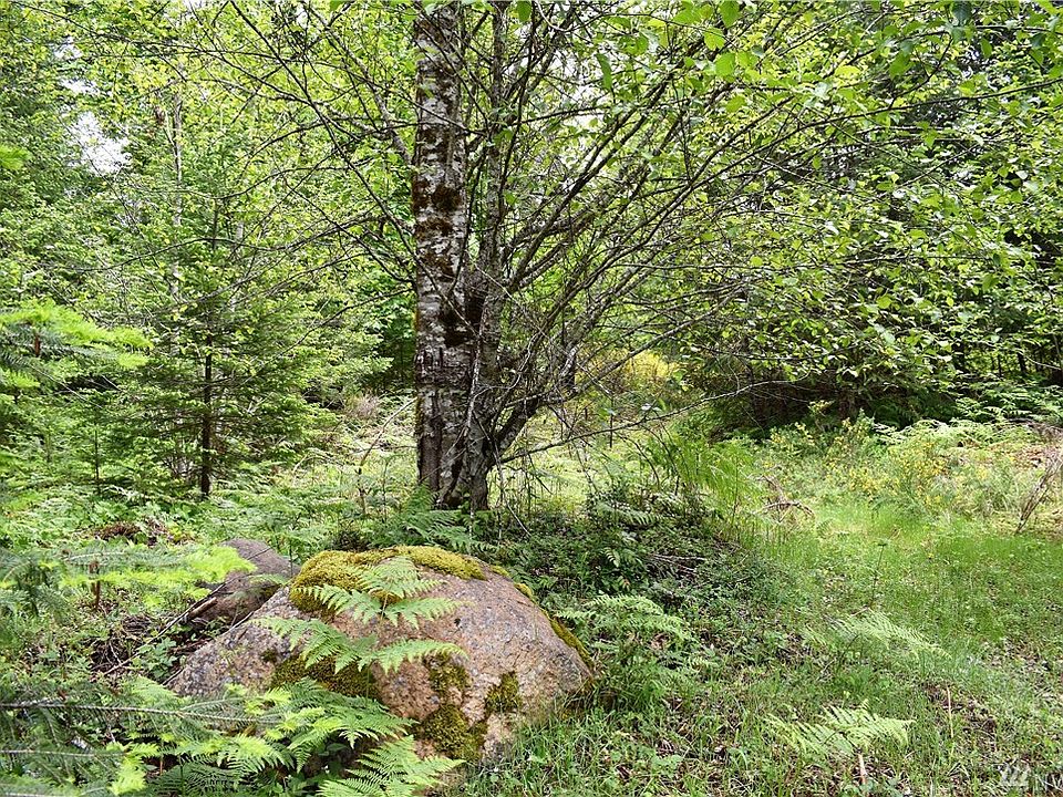 1st image of 0 Marmot Lp