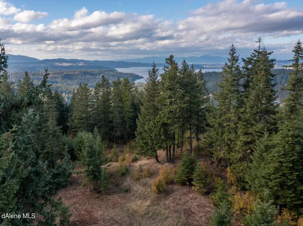 NNA S Caribou Ridge Rd, Harrison, ID 83833