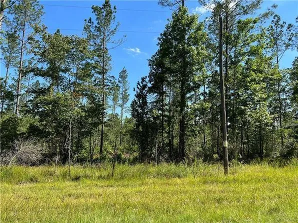 LOT 3 Walker Ferry Rd, Pollock, LA 71467