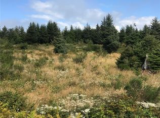 10 Chauncey Lane, Pacific Beach, WA 98571