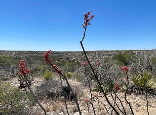 0 N State Hwy #349, Sanderson, TX 79848