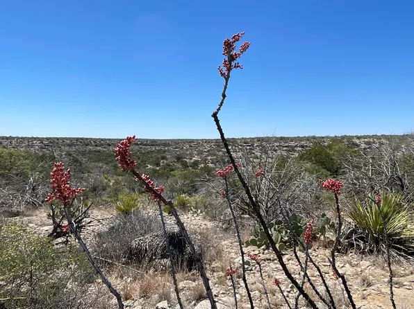 0 N State Hwy #349, Sanderson, TX 79848