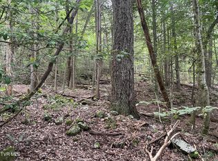 172 Carl Taylor Rd, Elizabethton, TN 37643