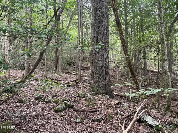 172 Carl Taylor Rd, Elizabethton, TN 37643