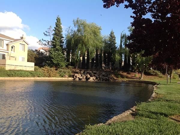 1st image of 3770 Jasmine Cir