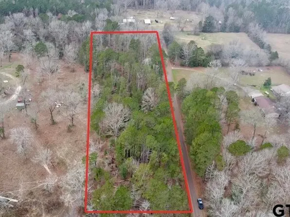 Tbd Reddick Rd, Ore City, TX 75683