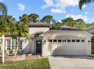 12527 Sparkleberry Rd, Tampa, FL 33626