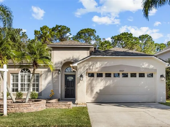 12527 SPARKLEBERRY ROAD, TAMPA, FL 33626