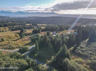 66711 Fry Ct, Homer, AK 99603