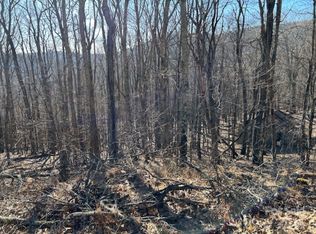 337 Hamlin Ln #96, Mars Hill, NC 28754