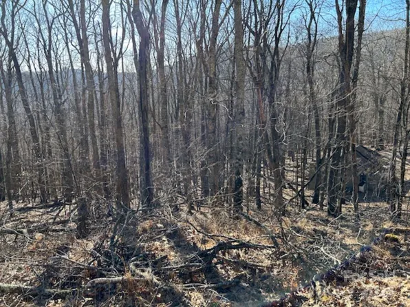 337 Hamlin Ln #96, Mars Hill, NC 28754