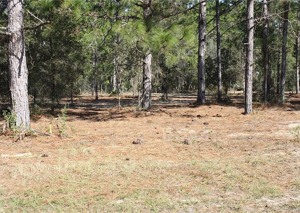 1st image of 4445 W Tomahawk Dr