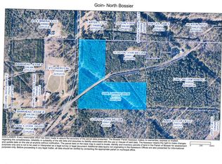 0 Bodcau Rd, Cotton Valley, LA 71018