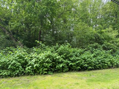 2 Sandra Avenue, Terryville, CT, 06786
