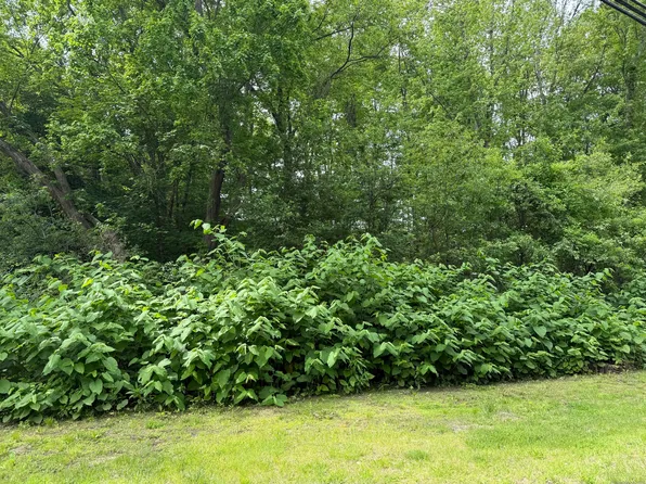 2 Sandra Avenue, Plymouth, CT 06786