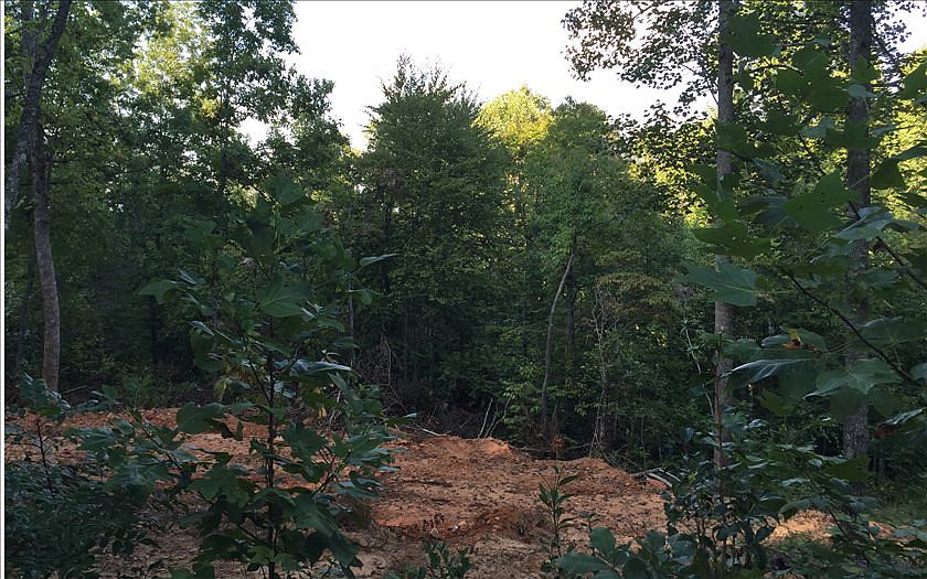 2nd image of 694 Gordon Thomas Rd