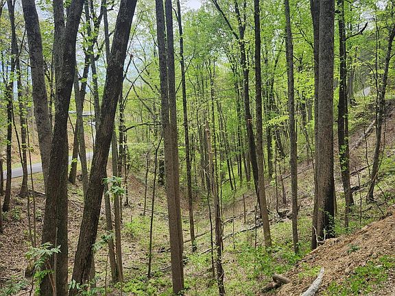 5th image of LOT 1 Hatcher Mountain Rd