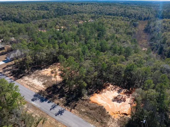 15 Black Bear Ct, Defuniak Springs, FL 32435