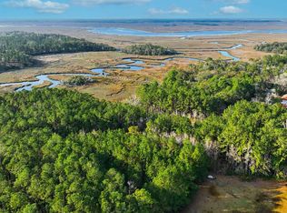 1042 Eagle Neck Dr NE, Townsend, GA 31331