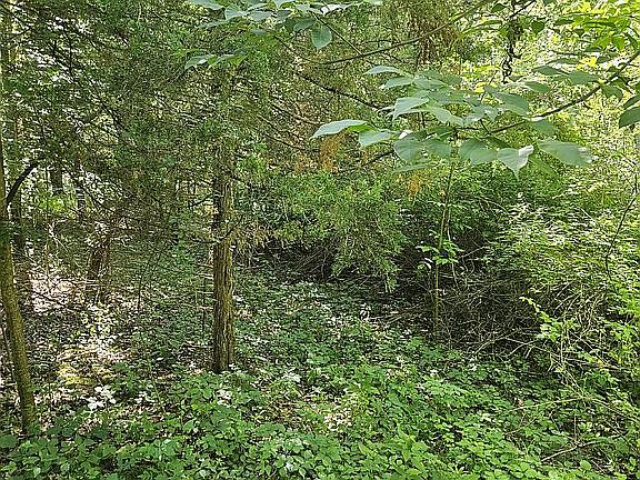 Fork between several trails