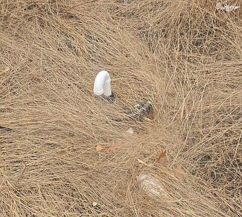 4th image of 1334 Meeks Road