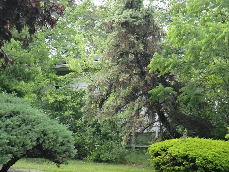 Property photo 5