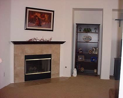 Fireplace in Family Rm
