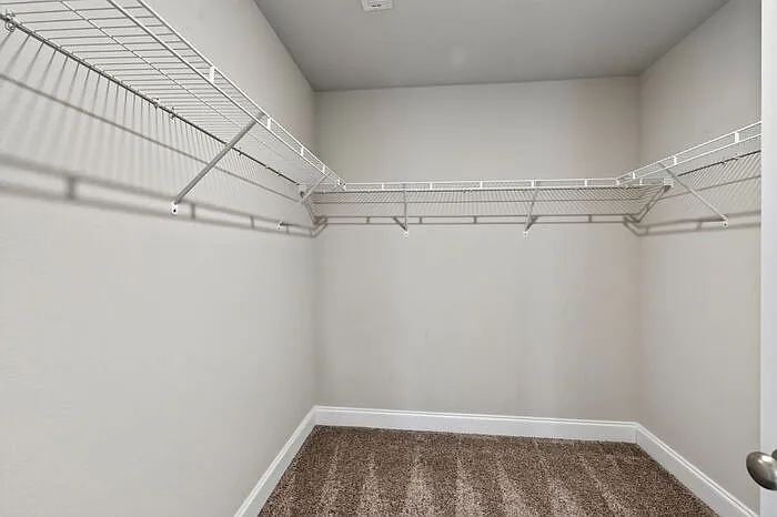 10180 Orchid Magnolia Dr — Photo 23