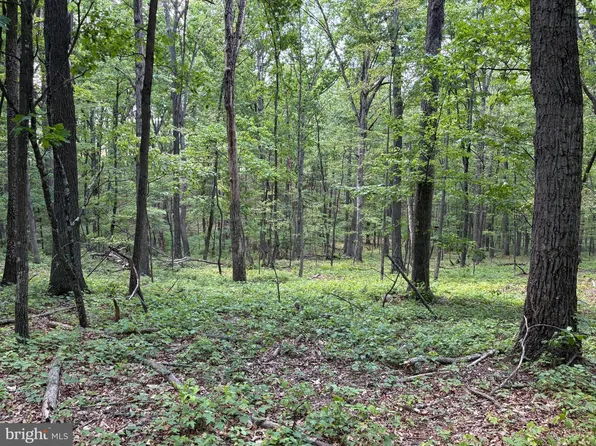 11 Rock Creek Trl, Augusta, WV 26704