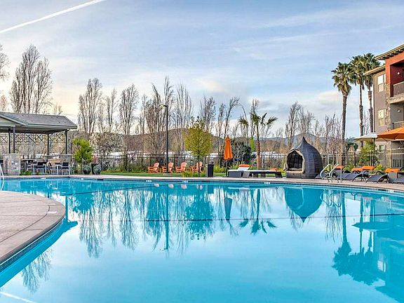 Pool Area| Apartments in Fairfield, CA | Verdant at Green Valley Apartments