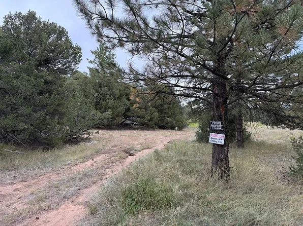 1762 5th Trl, Cotopaxi, CO 81223