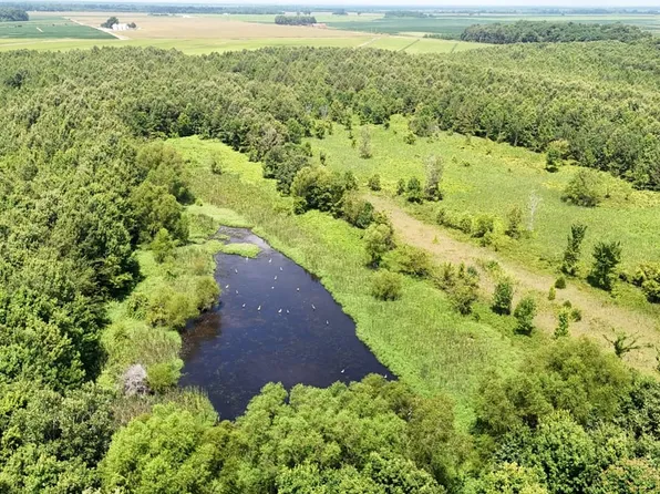 118 Cloar Rd, Earle, AR 72331