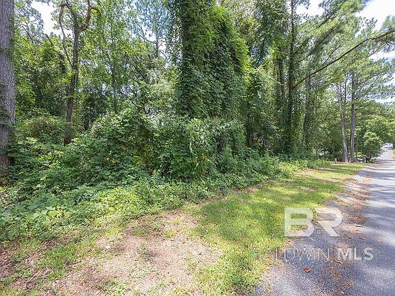 2nd image of 181 Lakeview Loop