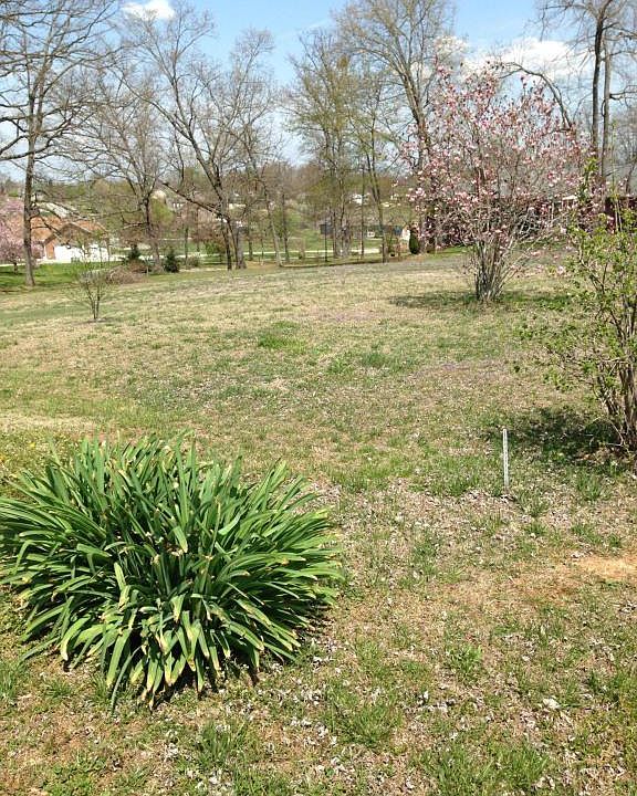 2nd image of 1307 Amerine Rd