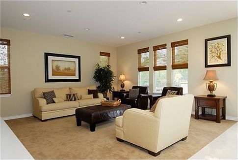 Spacious Family Room