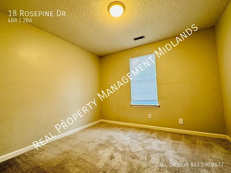 18 Rosepine Dr — Photo 10