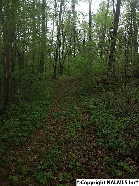 1st image of County Road 17