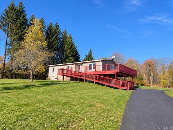 223 Back Shandelee Road, Livingston Manor, NY 12758