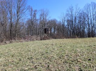 Beagle Club Rd, Scio, OH 43988