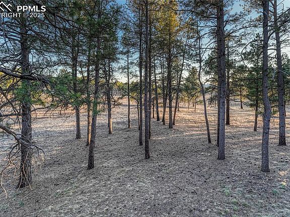 5th image of 7520 Pinery Cir