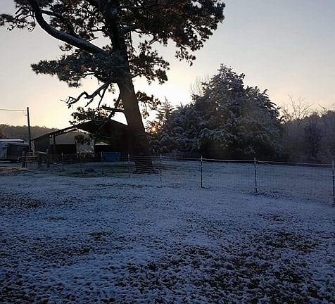 View of barn from house