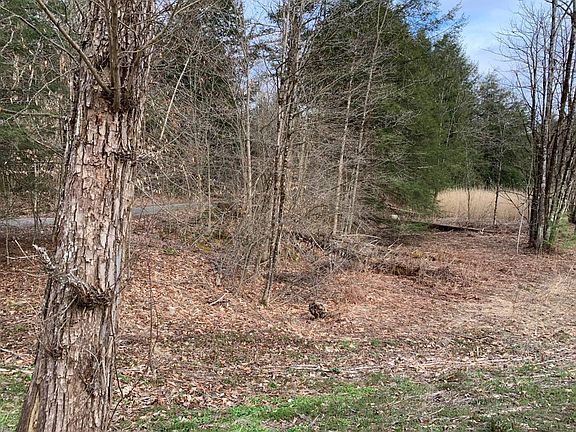 2nd image of Wagners Hollow Rd
