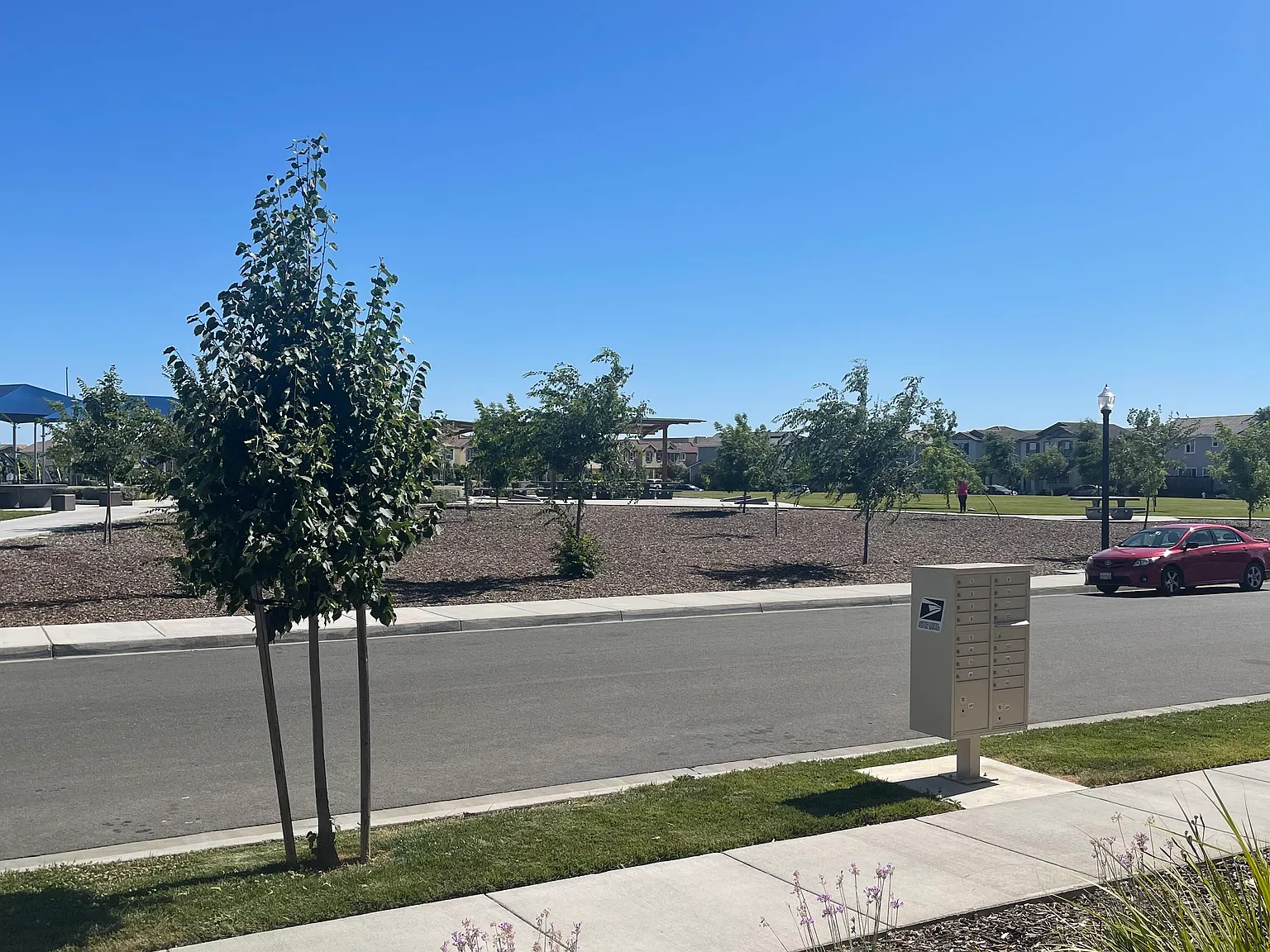 Samuelson Way, Sacramento — Photo 3