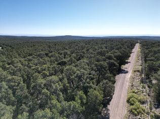 4 Gonzales Rd, Edgewood, NM 87015