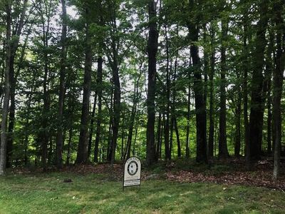 79 Sheep Meadow Rd, Hot Springs, VA, 24445